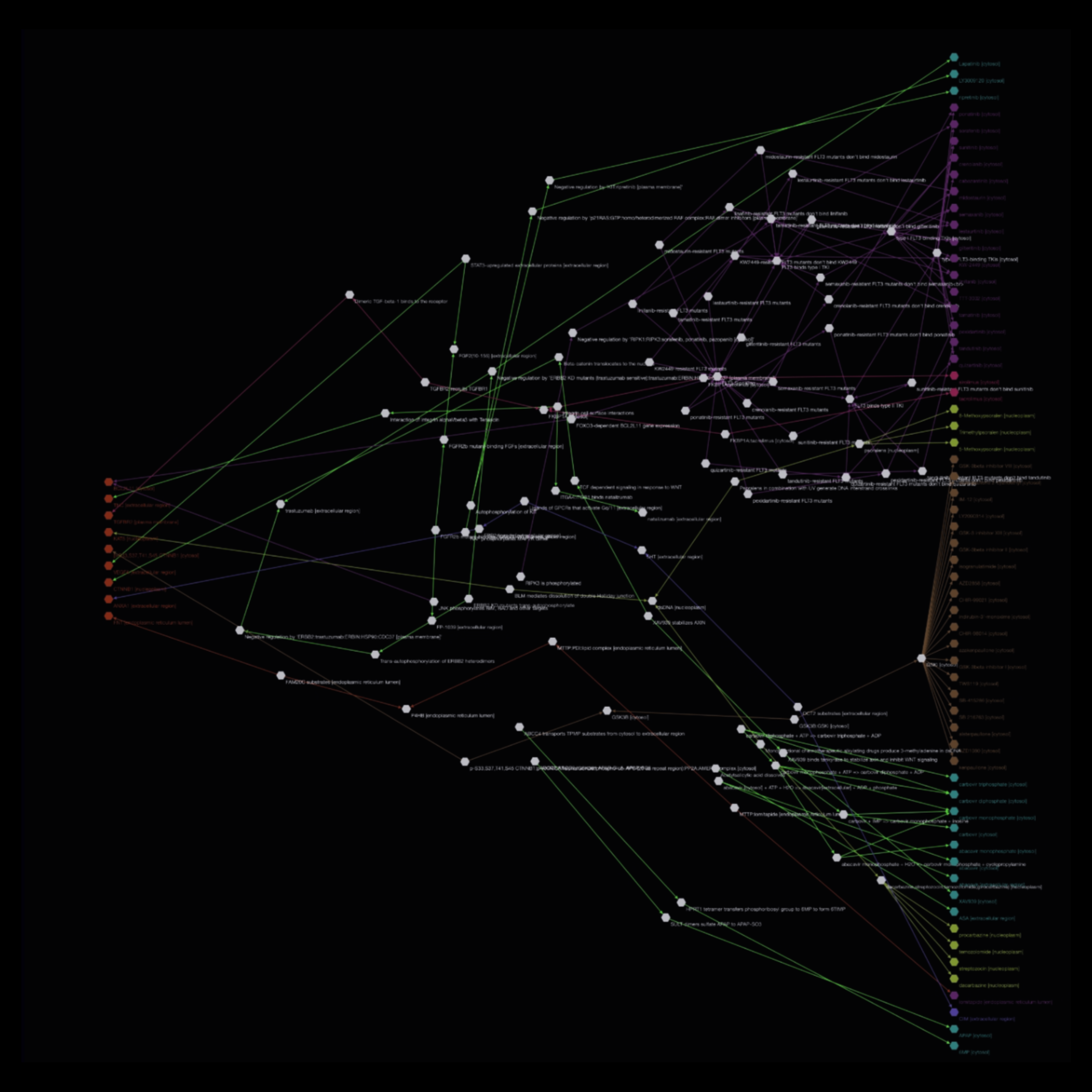 Complex mechanisms of action network showing drug targets, biological pathways, and gene-protein interactions